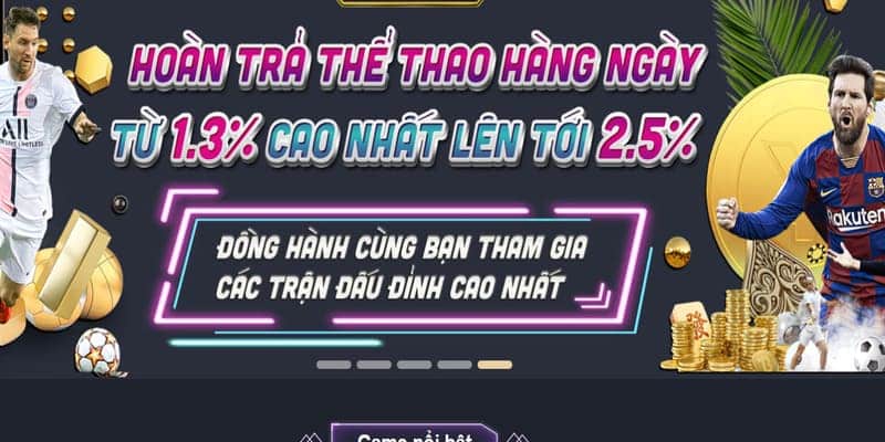 Các điều khoản và điều kiện cơ bản cho chương trình hoàn trả tại S66